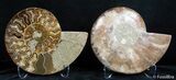 Inch Split Ammonite Pair #2624-1